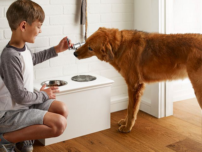 boy sitting next to dog while it eats